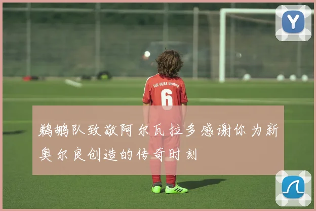 鹈鹕队致敬阿尔瓦拉多感谢你为新奥尔良创造的传奇时刻